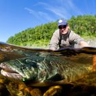 Russian Salmon Release