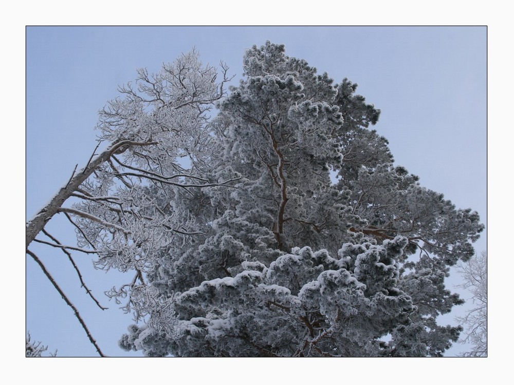 Russian winter