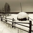 Russian Winter