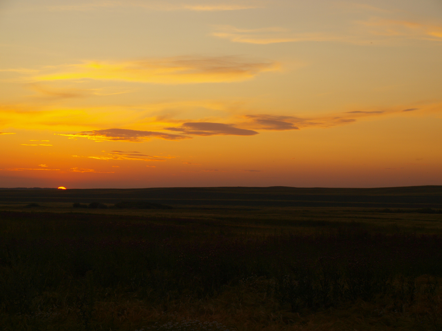 russische Grassteppe