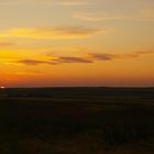 russische Grassteppe