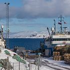 RUSSISCHE KÖNIGSKRABBEN-FISCHERBOOTE, KIRKENES