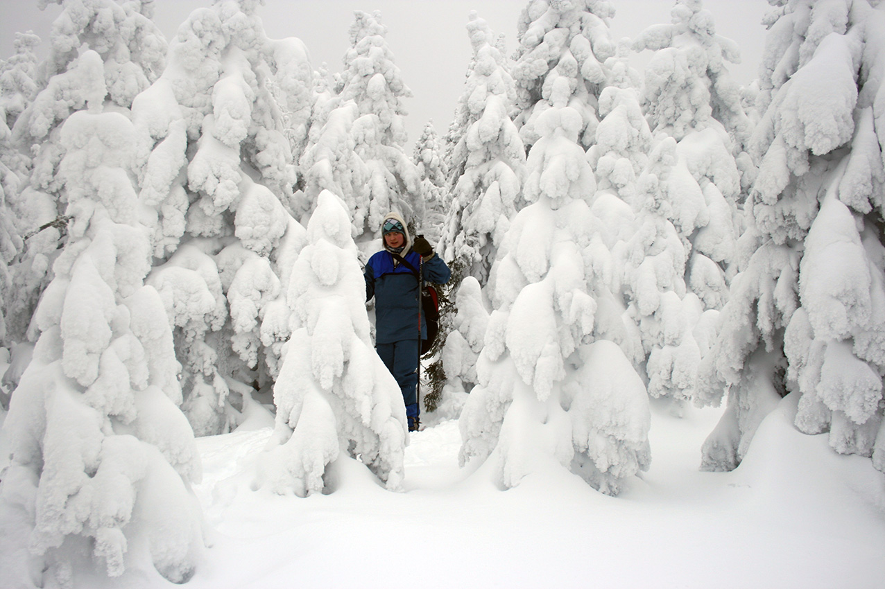 Russische Winter