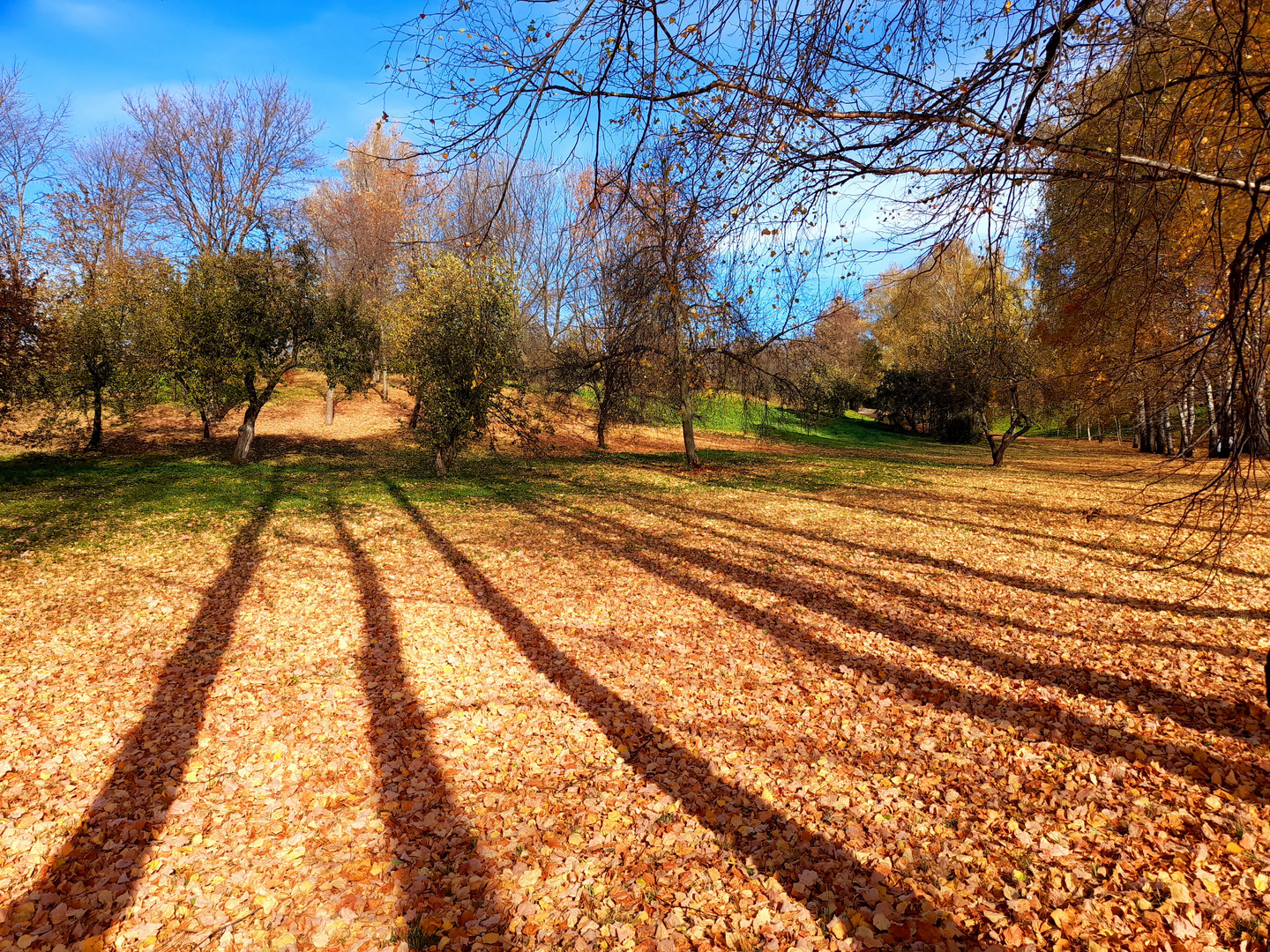 Russischer Herbst 