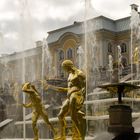 Russland - St. Petersburg - Peterhof