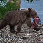 Russland wilder Osten [54] - Fette Beute