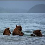 Russlands wilder Osten [10] - Sauwetter