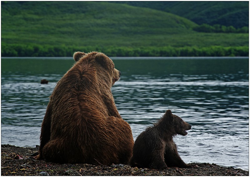 Russlands wilder Osten [100] - Meine Mama und ich