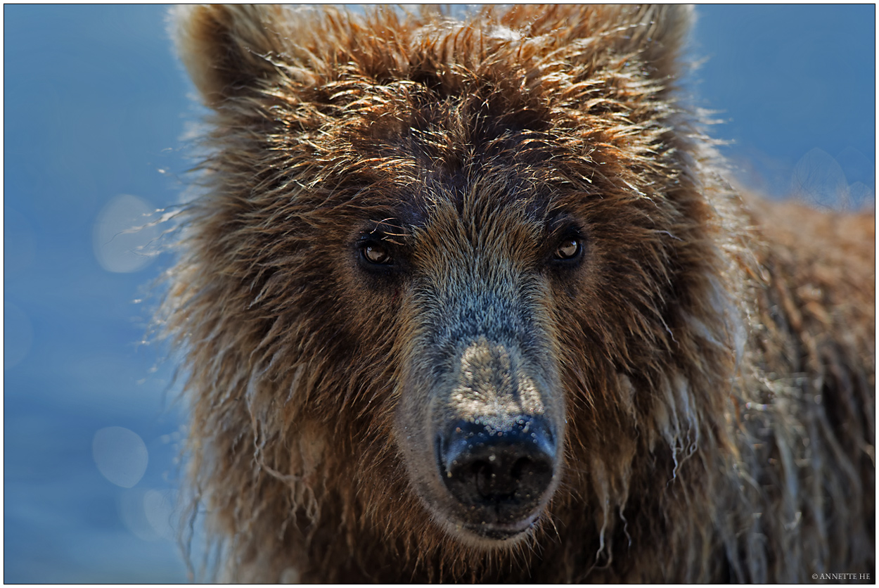 Russlands wilder Osten [12] - Portrait