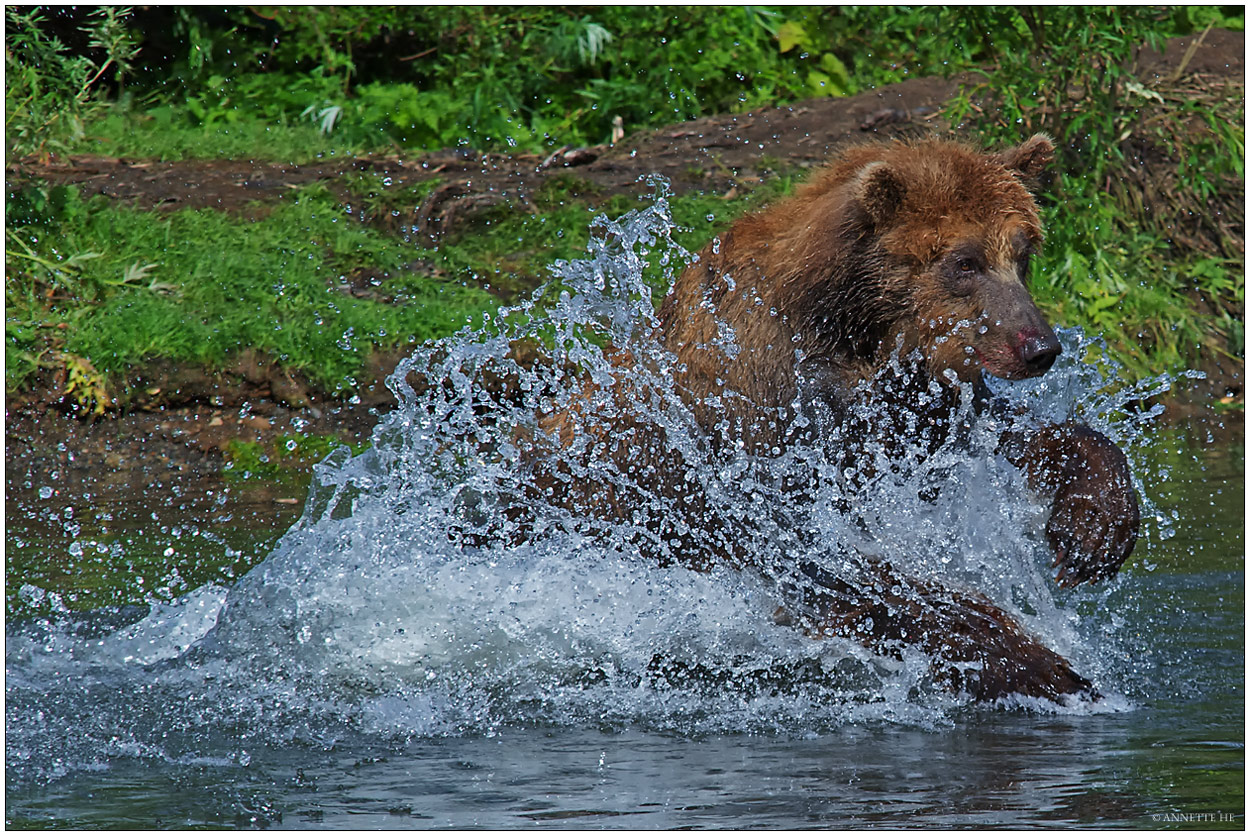 Russlands wilder Osten [15]