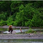 Russlands wilder Osten [64] - Wilde Natur