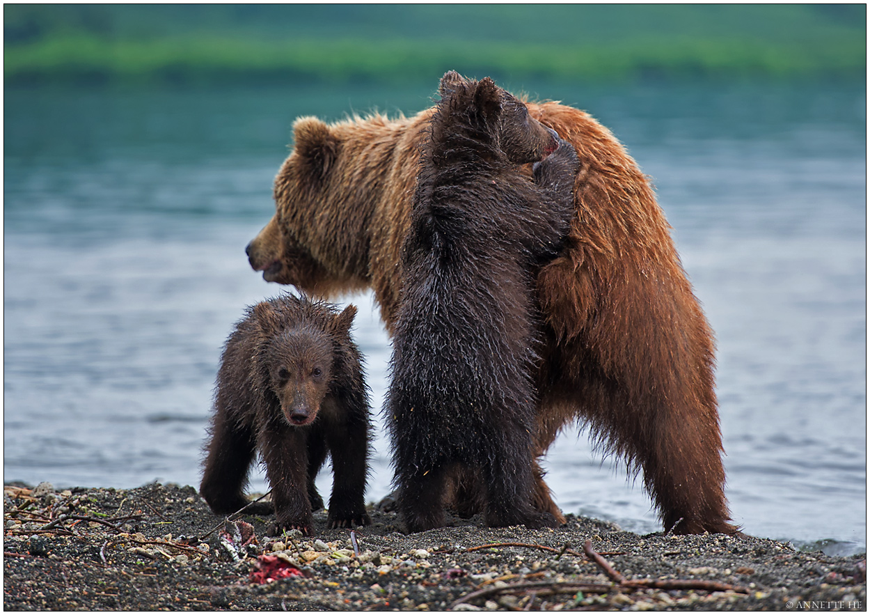 Russlands wilder Osten [66] - Family