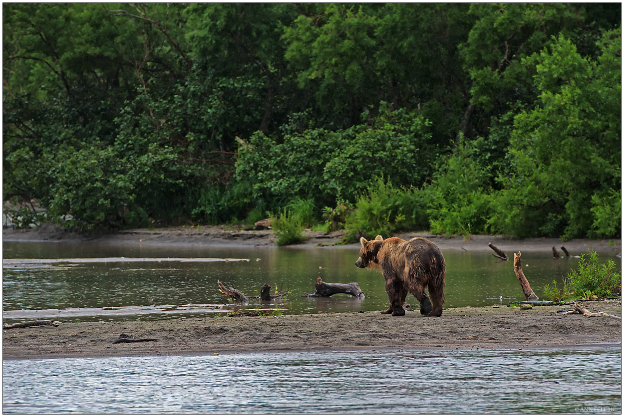 Russlands wilder Osten [73] - Am See