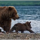 Russlands wilder Osten [82] - So geht´s