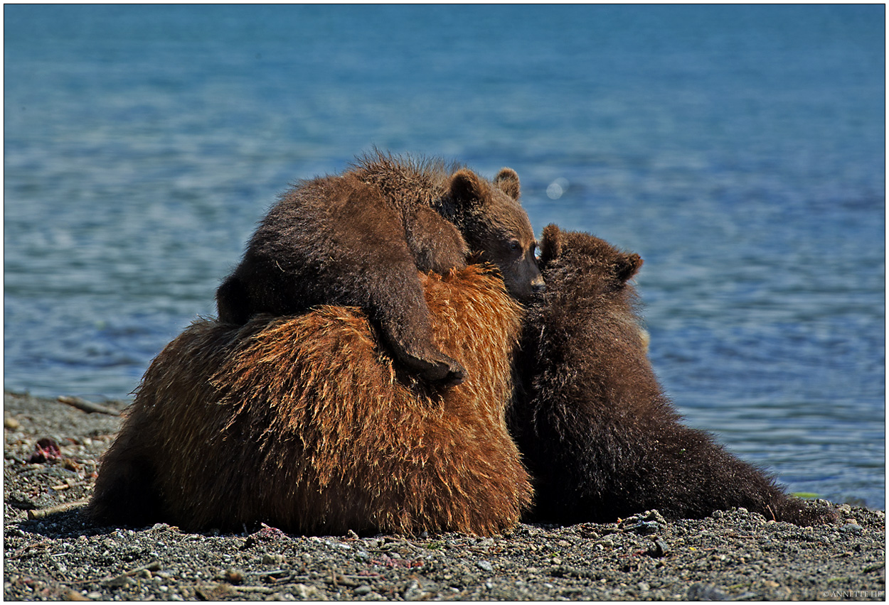 Russlands wilder Osten [94] - Familiy Time