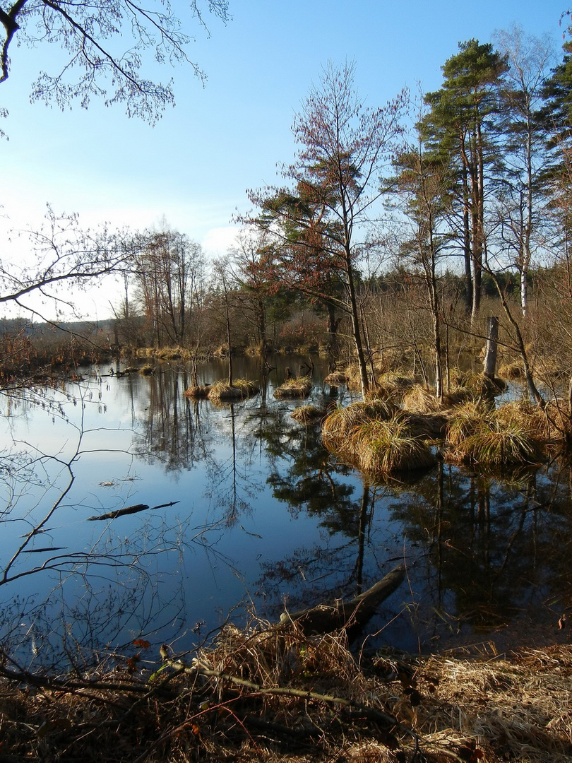 Rußweiher im März