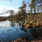 Rußweiher im März