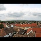 Rust am Neusiedlersee