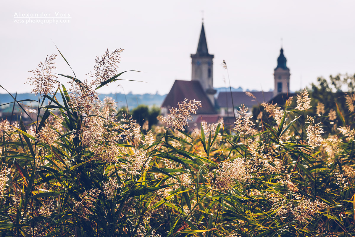 Rust am Neusiedlersee (Burgenland, Österreich)