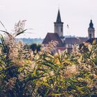 Rust am Neusiedlersee (Burgenland, Österreich)