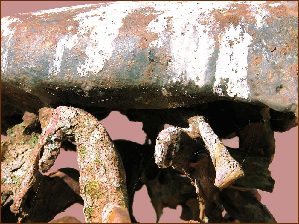 rust, mosses #2