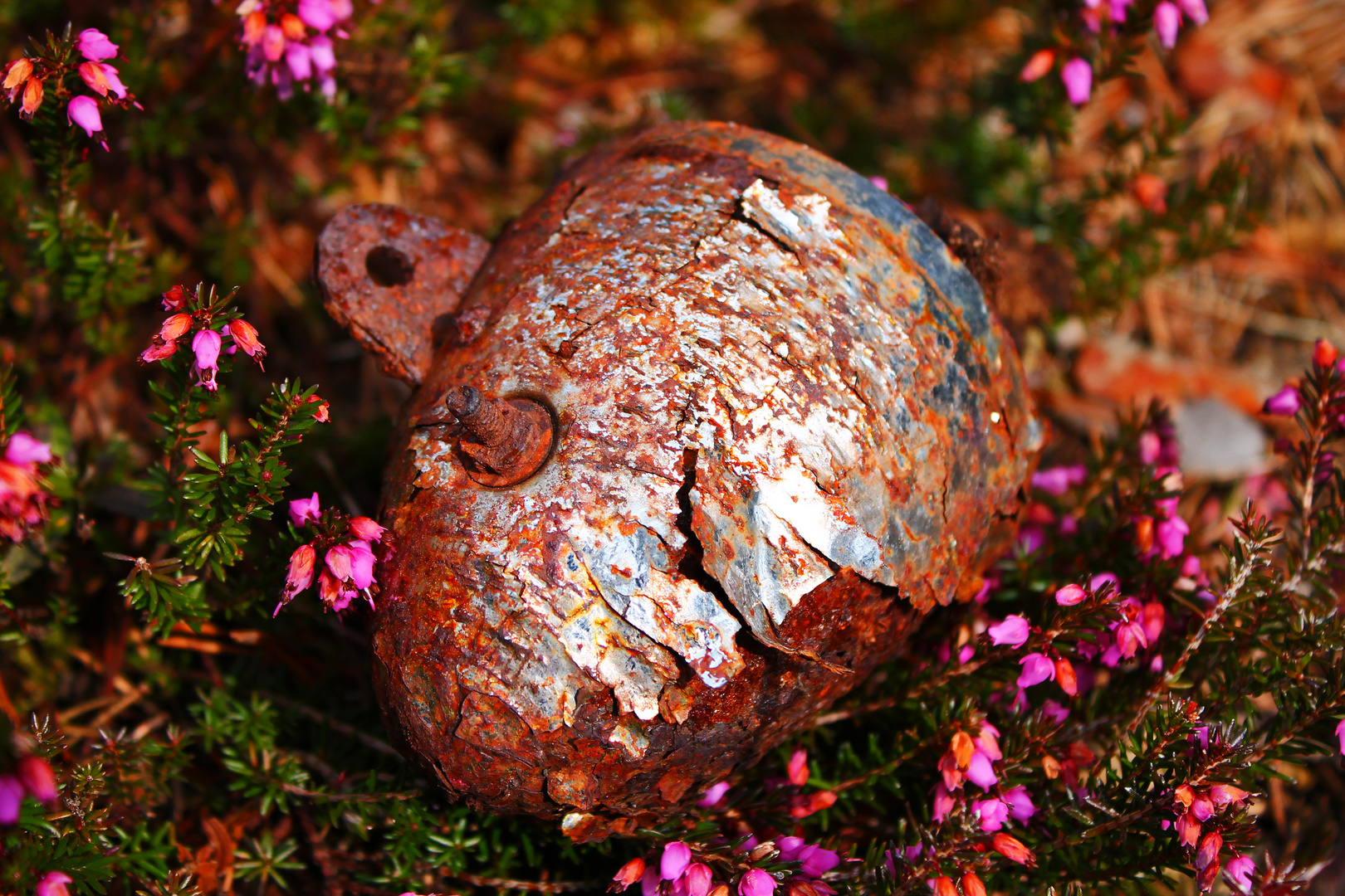 Rusted