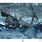 Rusted Motorcycle