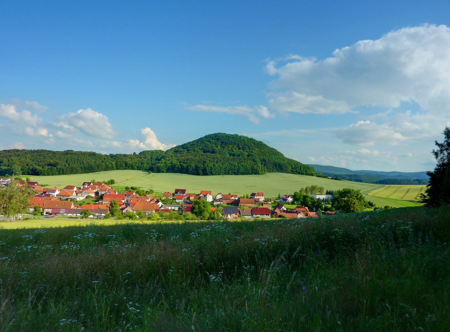 Rustenfelde im Sommer 2014