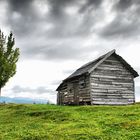 Rustic House