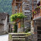 Rustico im Valle Maggia - Tessin