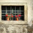 rustikales Blumenfenster ...