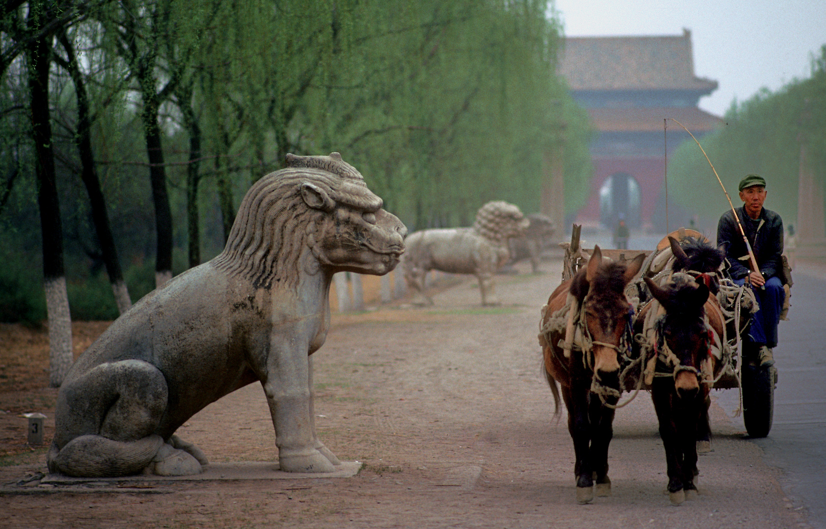 Rustikales Gespann bei den Ming Gräbern