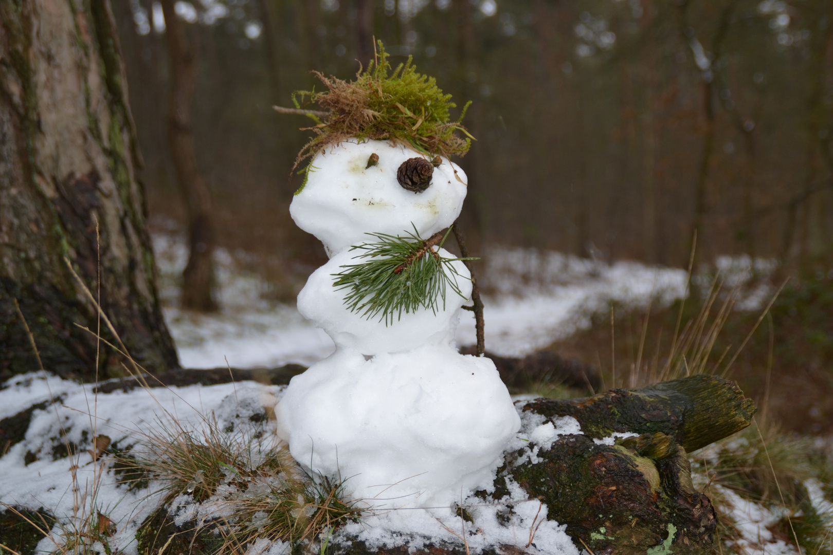 Rustikales Schneemännchen im Münsterland...