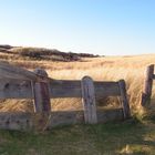 Rustikales Weidentor auf Ameland