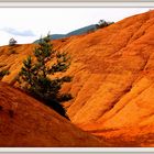 Rustrel le Colorado Provencal 15