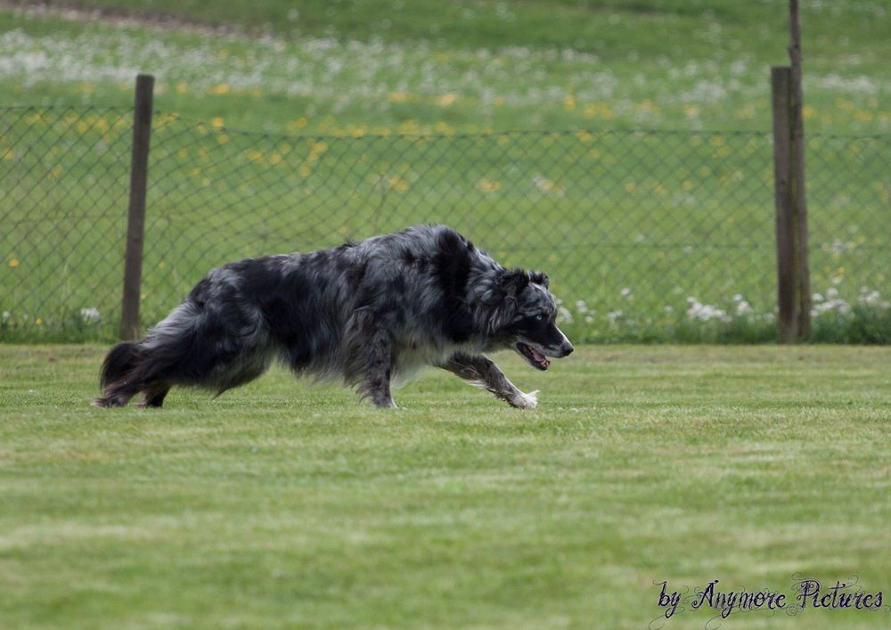 Rusty Abrufen mit Steh und Platz