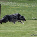 Rusty Abrufen mit Steh und Platz