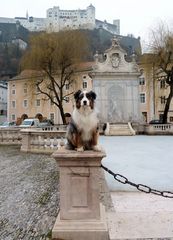 Rusty als Statue in Salzburg