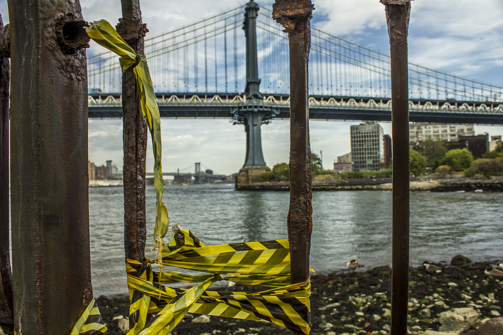 Rusty at Manhattan Bridge