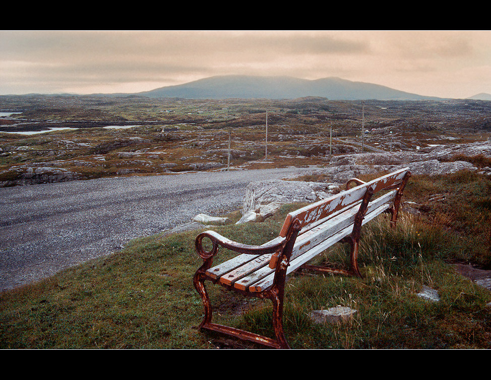 Rusty bench at golden road