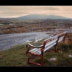 Rusty bench at golden road