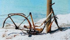 Rusty Bicycle