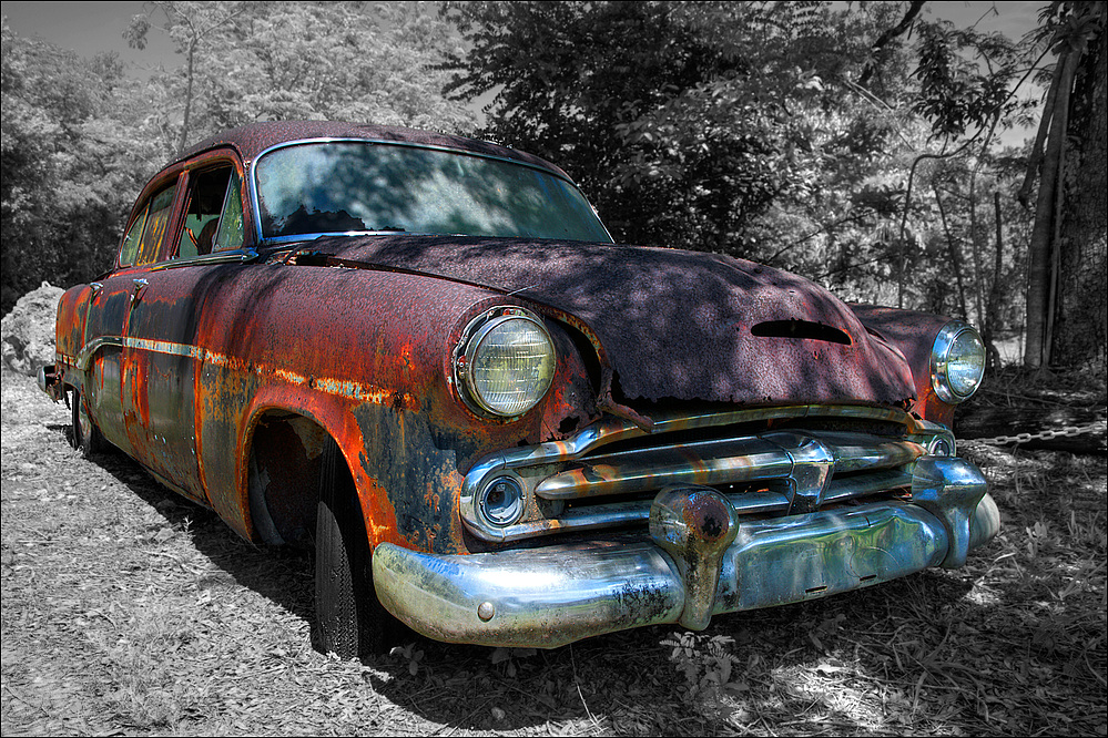 Rusty Dodge CK