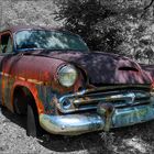 Rusty Dodge CK