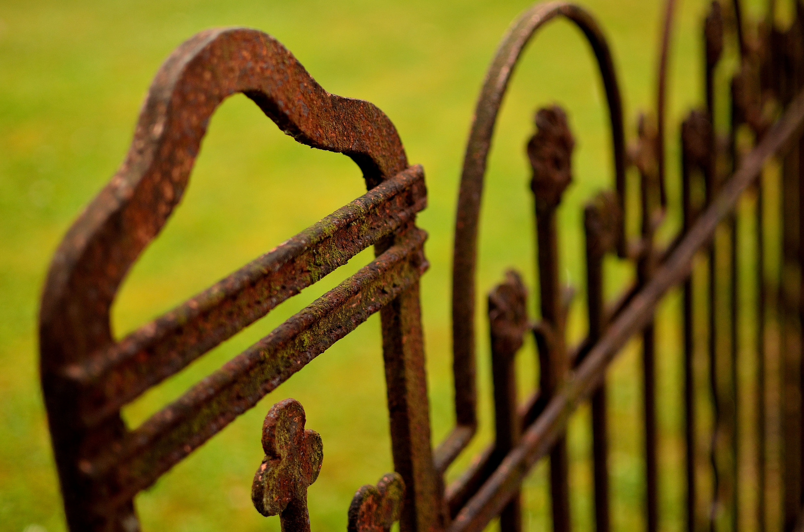 rusty fence