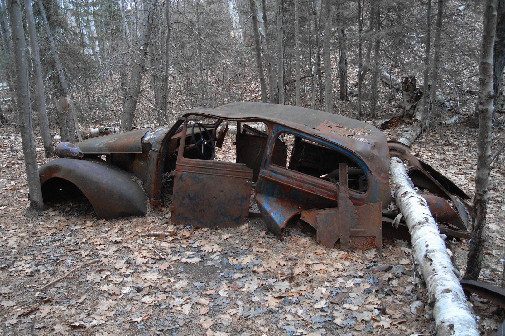 Rusty Old Dodge 2011