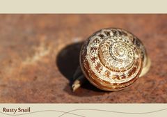 Rusty Snail