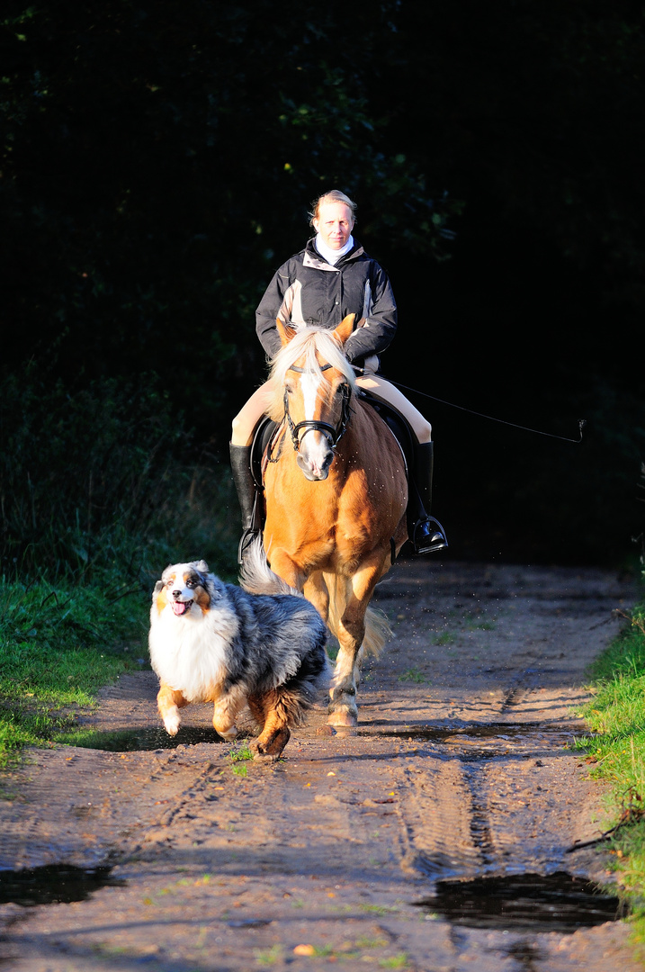 Rusty und Balou beim Ausritt