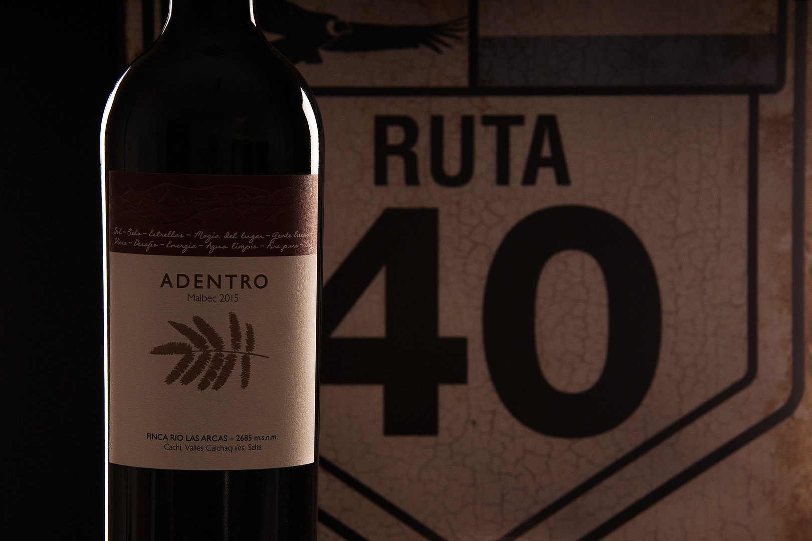 Ruta 40