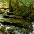 ruta da pedra e da auga